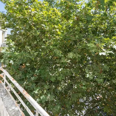 Houze_city Center, 5 Flat W/ Sunny Terrace Lisbon